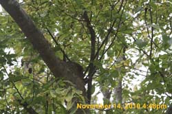 IMG_1982