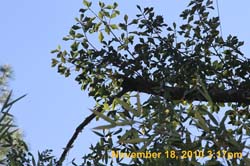 IMG_2148