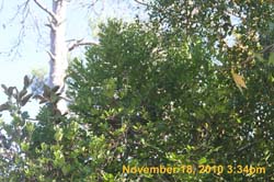 IMG_2170