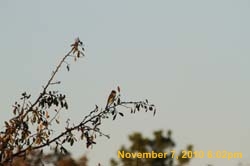 IMG_1383
