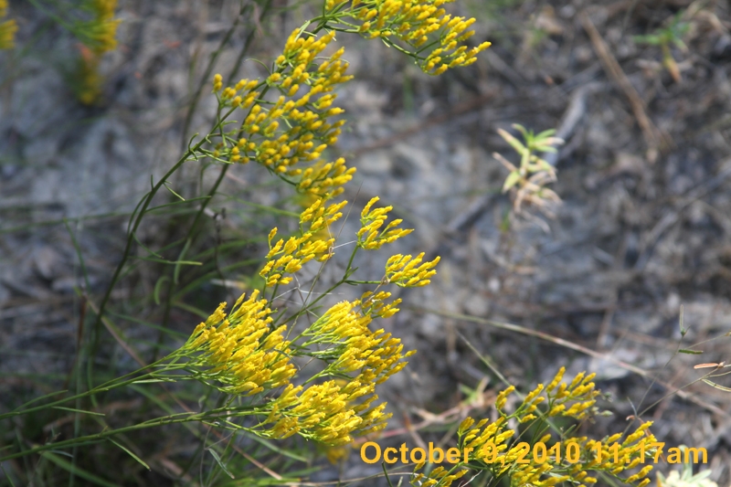 IMG_0814