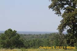 IMG_0710