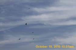 IMG_1003
