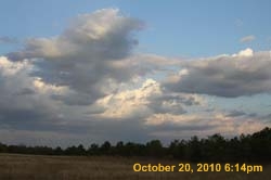 IMG_1028