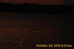 IMG_1390