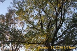 IMG_1517