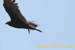 IMG_1114
