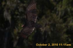 IMG_1115