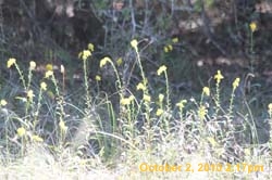 IMG_1124
