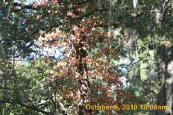 IMG_1147