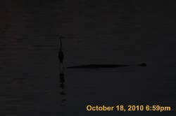 IMG_1224