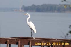IMG_1298