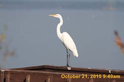 IMG_1299