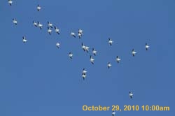 IMG_1320