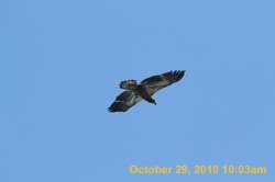 IMG_1329