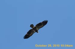 IMG_1334