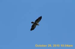 IMG_1335