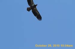IMG_1336