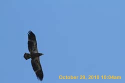 IMG_1337