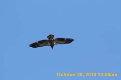 IMG_1339