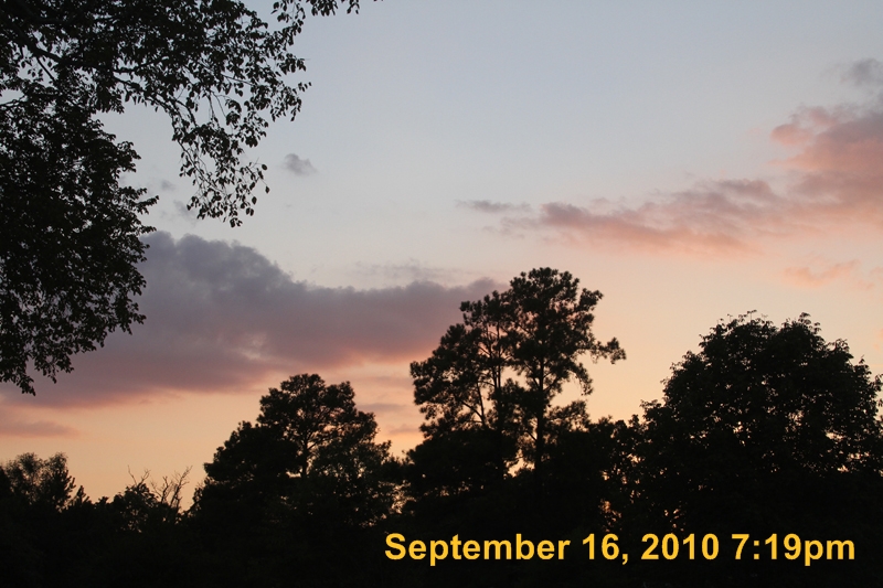IMG_0377
