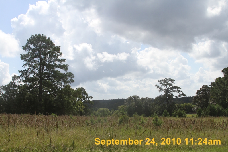IMG_0562