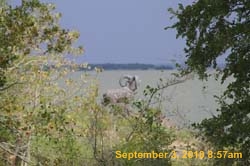 IMG_0262