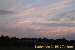 IMG_0274
