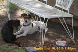 IMG_0341