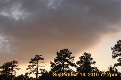 IMG_0366