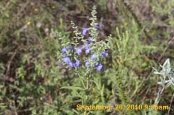 IMG_0614