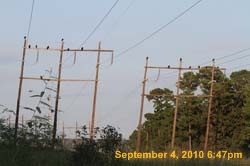 IMG_1028