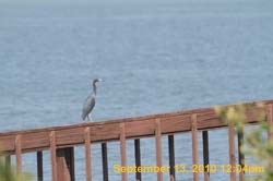 IMG_1047