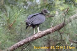 IMG_1083