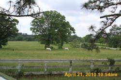 IMG_0971
