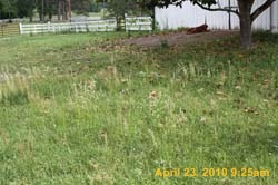 IMG_0978