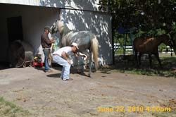 IMG_1240