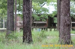 IMG_1249