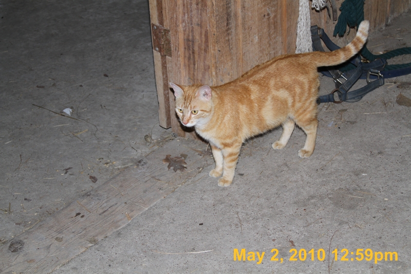 IMG_1010