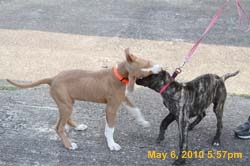 IMG_1051