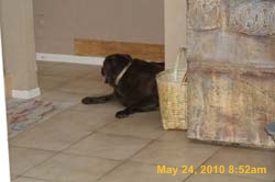IMG_1171