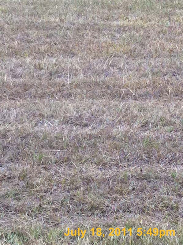 IMG_0151