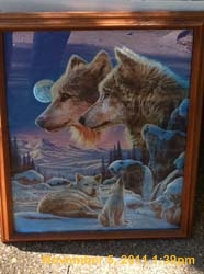 IMG_0454