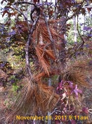 IMG_0556