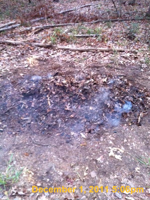 IMG_0619