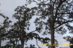 IMG_3501