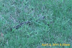 IMG_2584