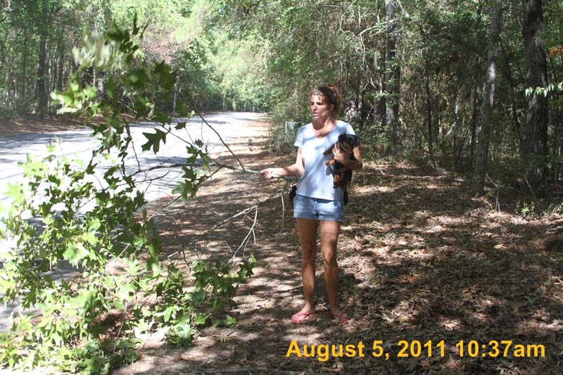 IMG_3611