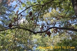 IMG_3609