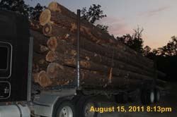IMG_3747